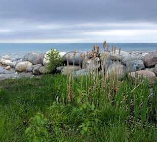 Collingwood, Lake Huron