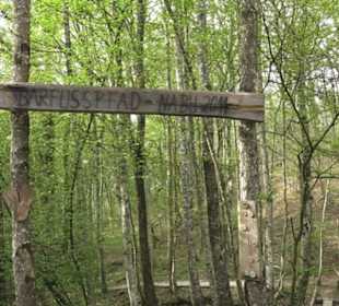 Barfußpfad Firstwald