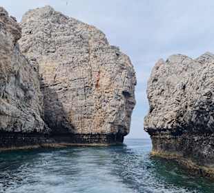 Glasbodenboot Tour Lardos