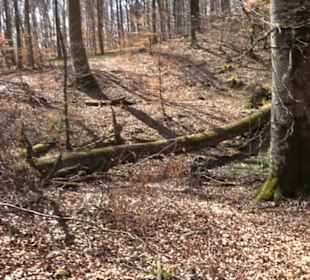 Geologischer Lehrpfad Kirnbachtal