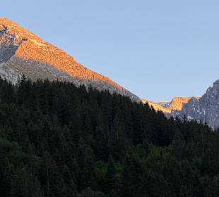 Ausblick