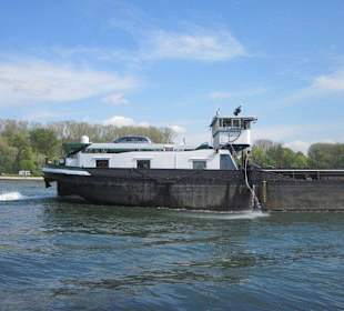 Promenade am Rhein in Germersheim