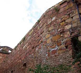 Das Schloss Heidelberg