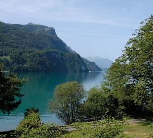 Brienzer See