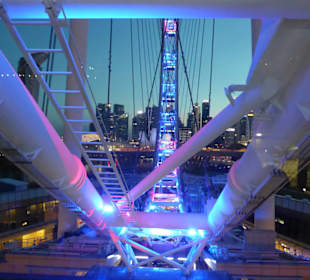 Singapore Flyer