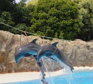 Loro Park