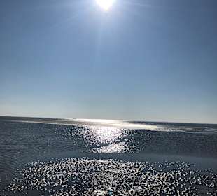 Strand Hollum/Ameland