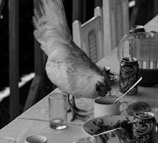 Unterwegs Mittagessen 