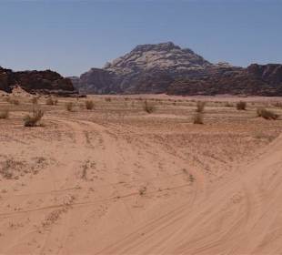 Geringe Fauna und Flora