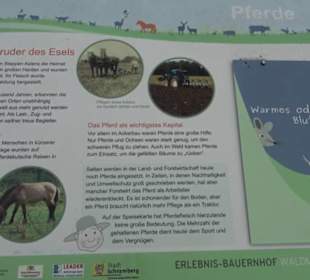 Erlebnisbauernhof und Wildgehege