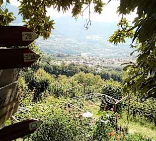 Wanderung via Alpina Bozen-Jenesien-Meran 2000