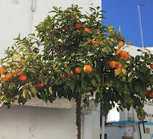 Stadtrundgang Cordoba