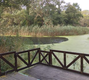 Naturschutzgebiet Baltata