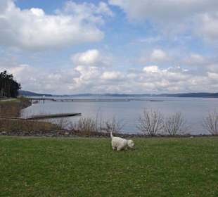 Brombachspeicher gross