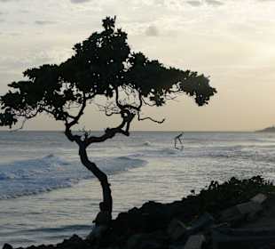 Sparziergang am Malecon