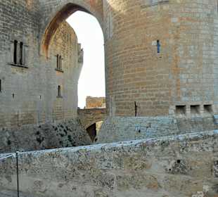 Castell Belvedere