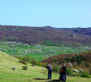 Oben am Walberla