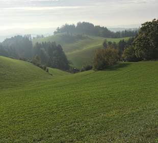 Wandern Bad Kreuzen