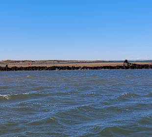 Bootstour Ria Formosa