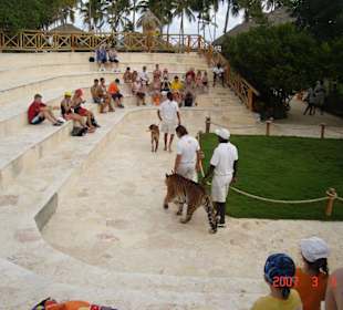 Animal Adventure Park