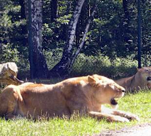 Serengeti Park Hodenhagen