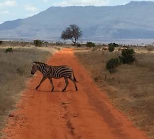 Geführte Touren Marco Polo Tours & Safaris Diani Beach 