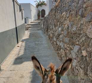 Akropolis von Lindos