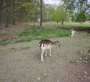 Osteinscher Landschaftspark