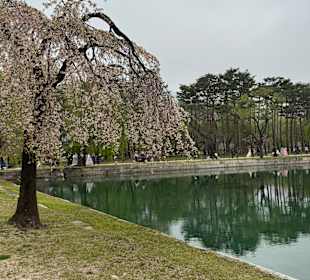 Gyeongbokgung Palace