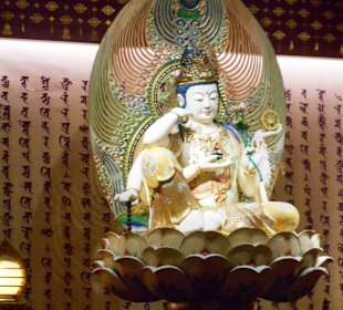 Buddha Zahn Relikt Tempel 