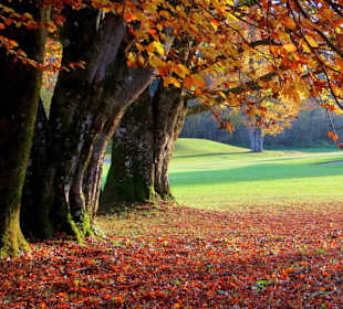 Herbststimmung beim Golfplatz
