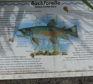 Fischlehrpfad