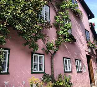 Wandern Bad Mitterndorf