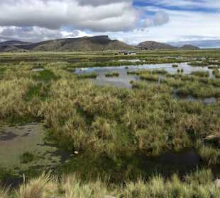 Jezioro Titicaca Peru