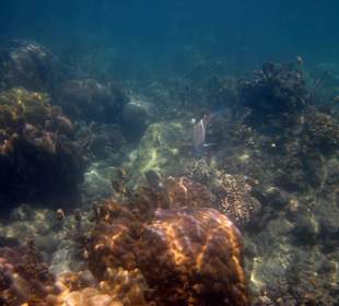 Underwater, fast am Hotelbeach