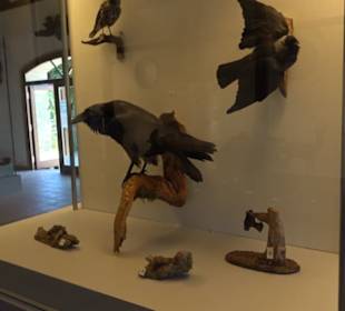 Natur- und Jagdmuseum