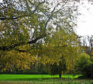 Парк Замка Ойтин.Золотая осень.