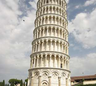 Pisa tower