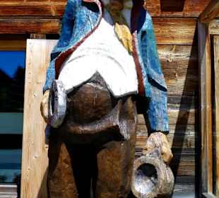 Fotomotive non stopp 