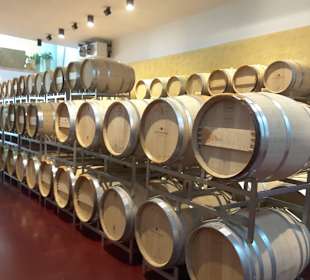 Gekühltes Weinlager