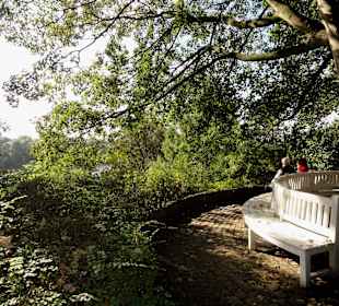 Ruhebank über dem Wasser in Knoops Park