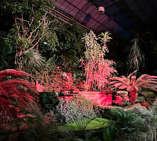 Modno Verde Halloween