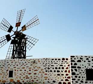 Inselrundfahrt Tagesausflug