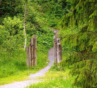Jungfernsprung Beginn Wanderweg