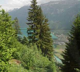 Zahnradbahn auf den Harder Kulm