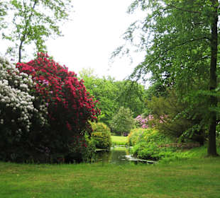 Schlosspark Lütetsburg