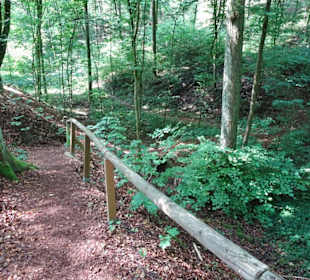 Rundgang durch den Landschaftsgarten Bettenburg