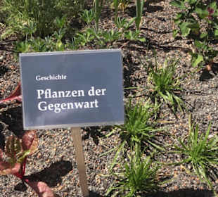 Botanischer Garten der Universität Zürich