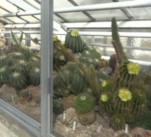 Gewächshäuser Botanischer Garten
