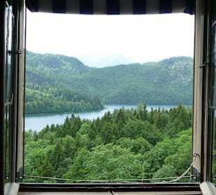 Blick aus Fenster
